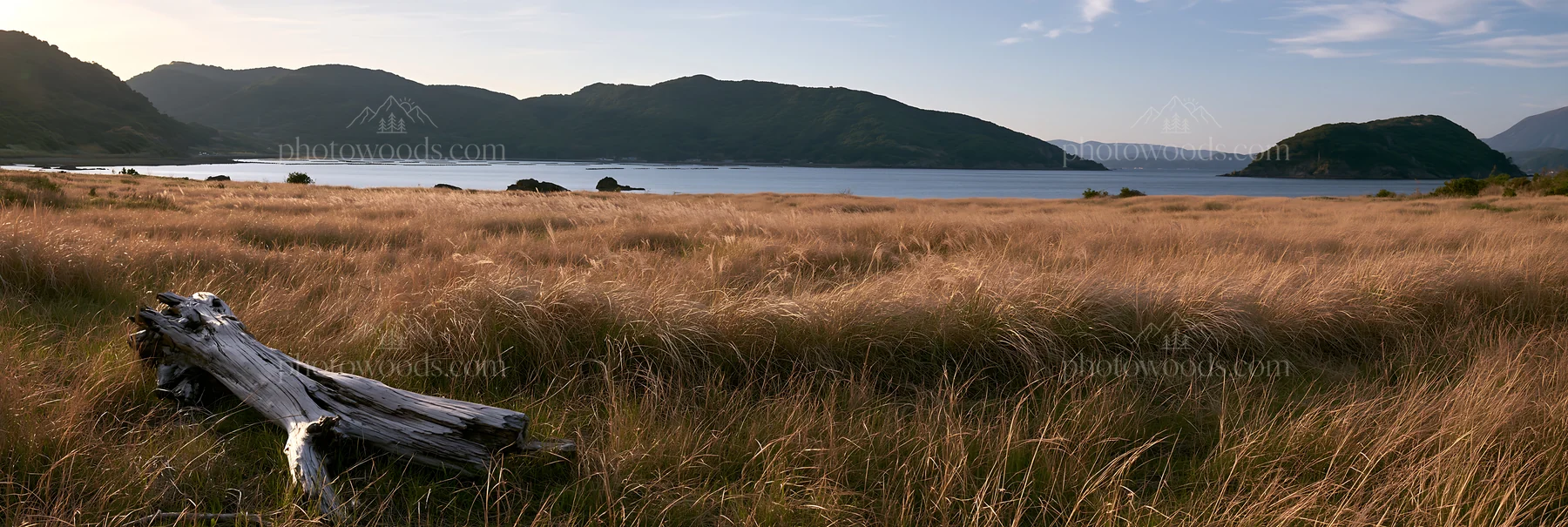 Nagasaki coastal meadow driftwood foreground mood - AI-generated stock image