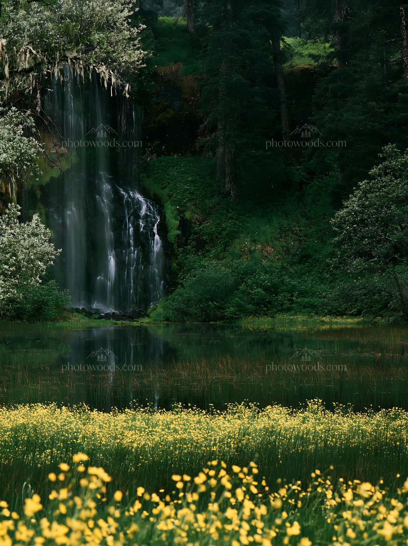 Flower meadow with waterfall reflecting in water - AI-generated stock image