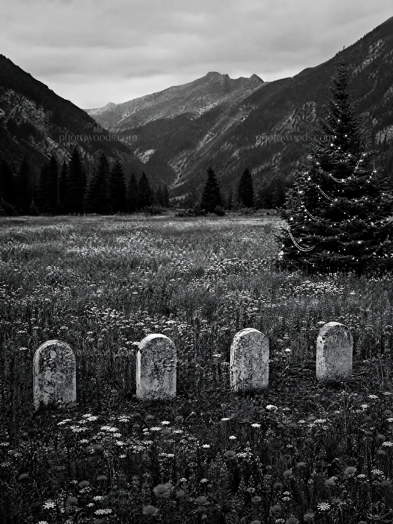 Christmas tree in mountain valley meadow with gravestones - AI-generated stock image