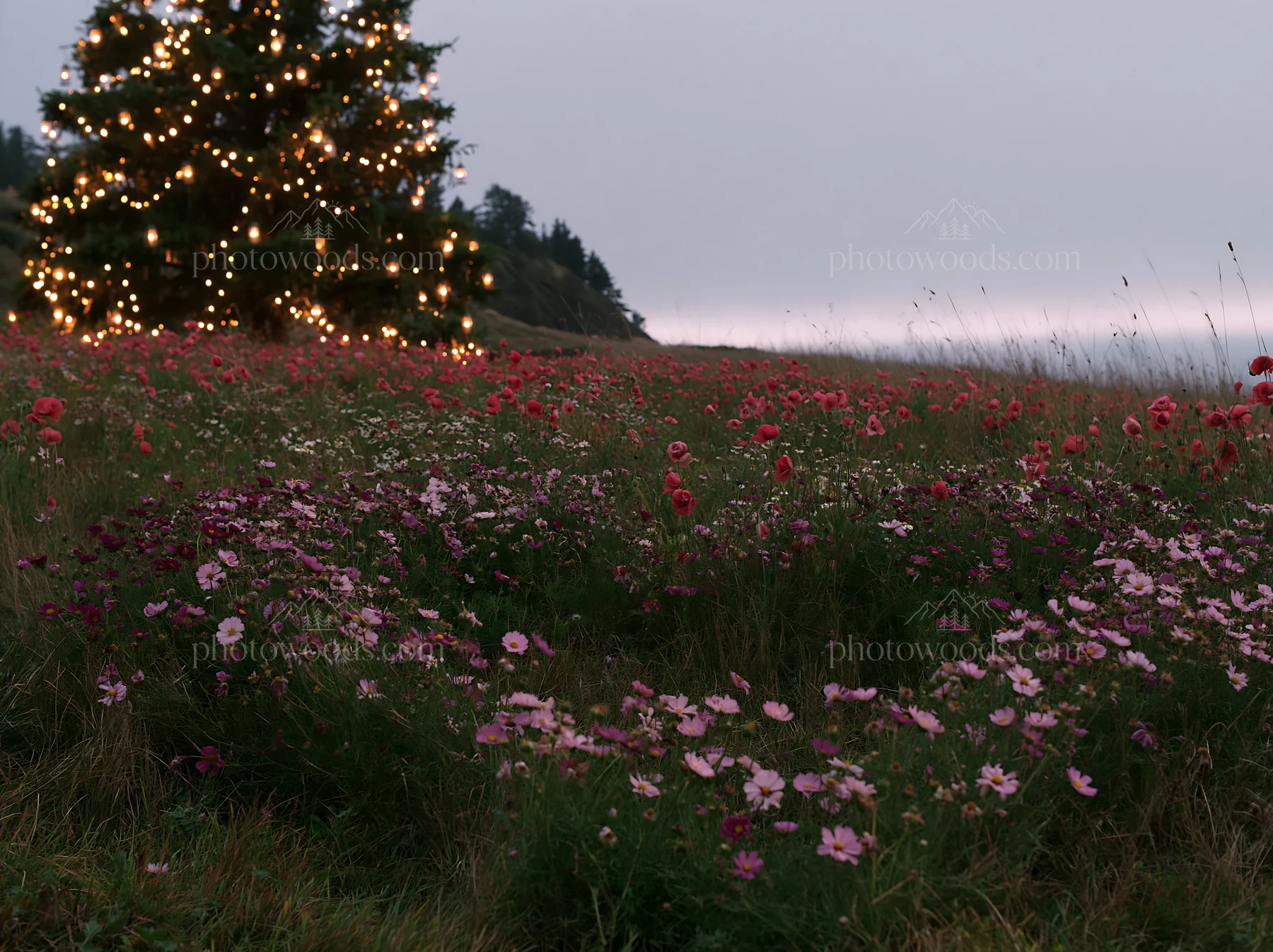 Christmas tree with lanterns in meadow by cave - AI-generated stock image