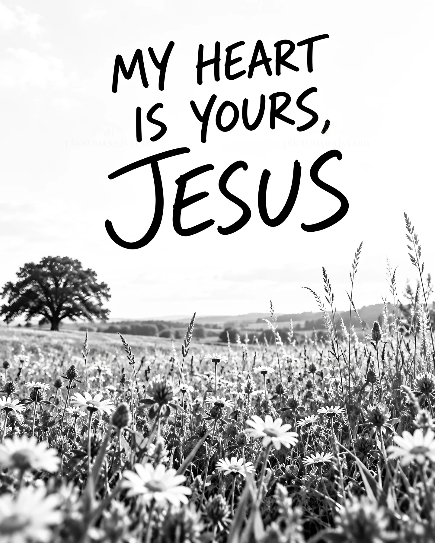 Jesus Christ, my heart is yours in a field of flowers - AI-generated stock image