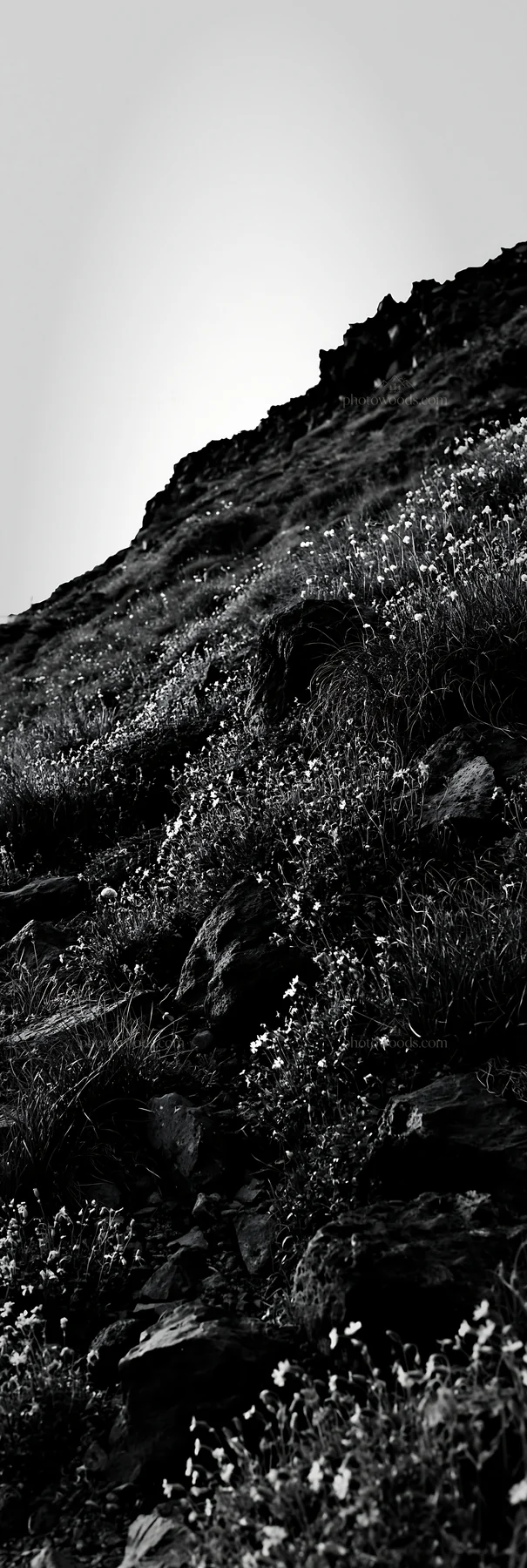 Yamanashi meadow with basalt stones on hillside - AI-generated stock image