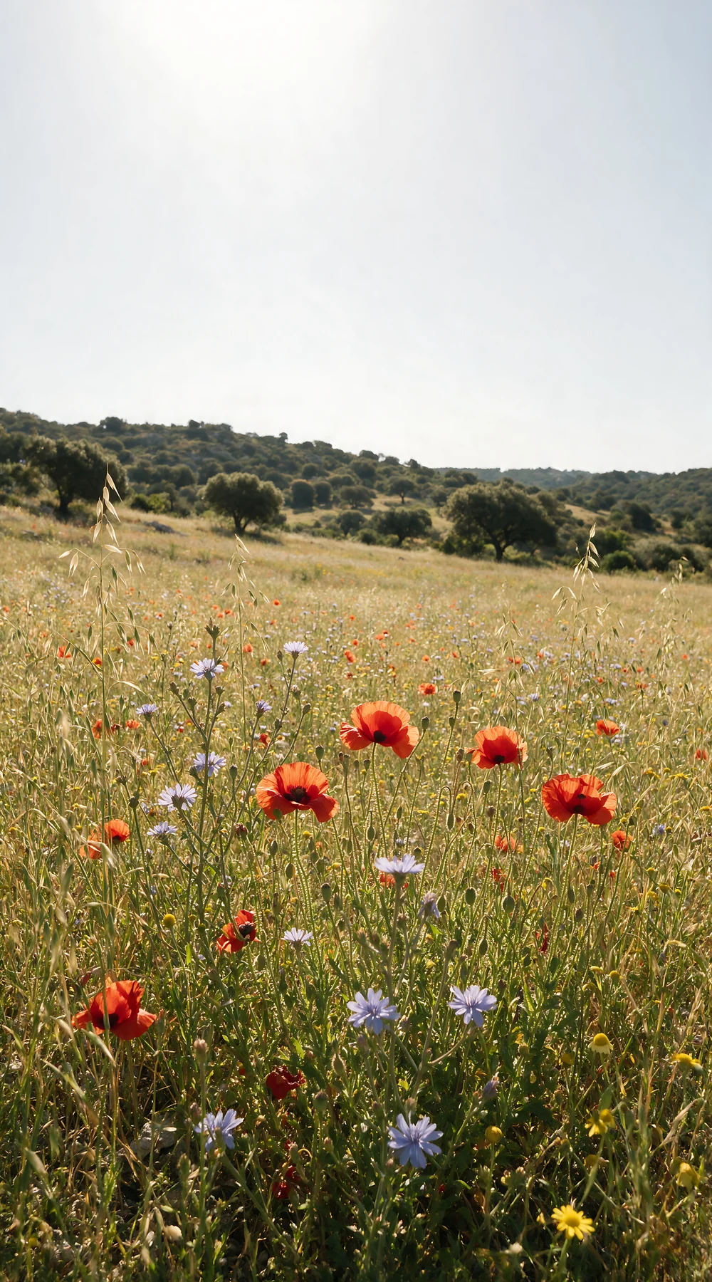Biodiverse meadow filled with flowers under clear sky - AI-generated stock image