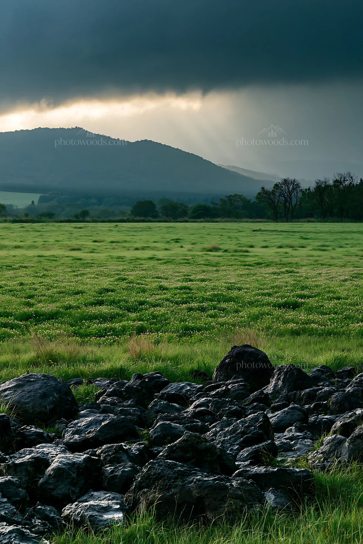 Kumamoto volcanic meadow dark rock foreground with green field - AI-generated stock image