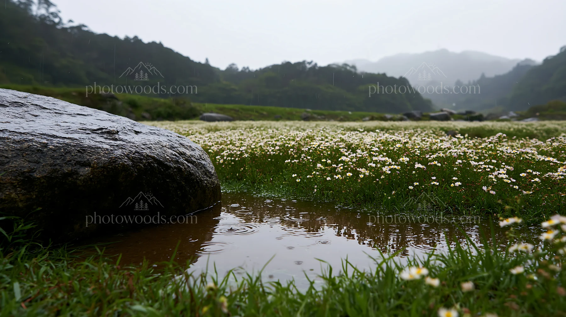 Hiroshima rainy meadow smooth rock foreground - AI-generated stock image