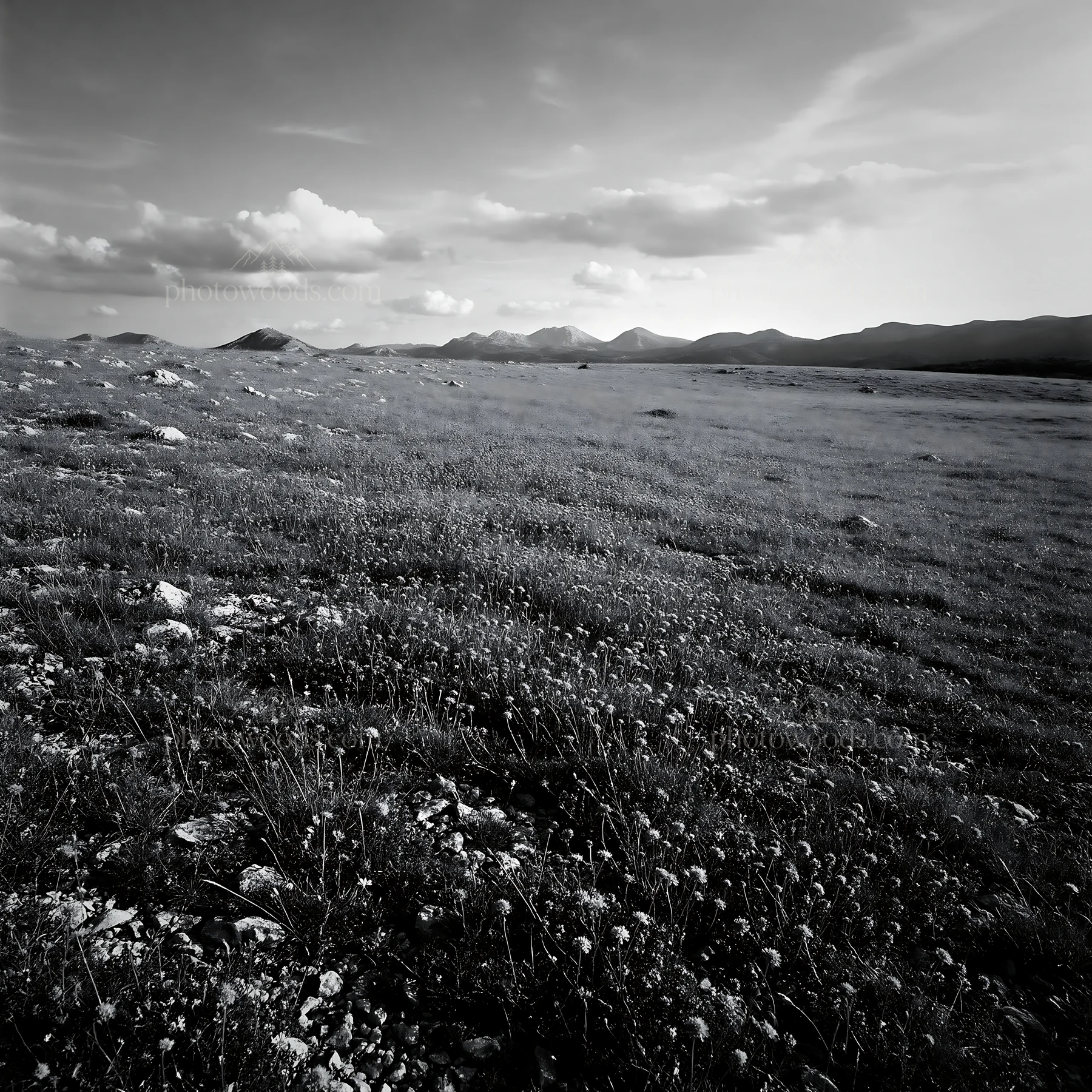 Sunny limestone meadow with distant mountains under bright sky - AI-generated stock image