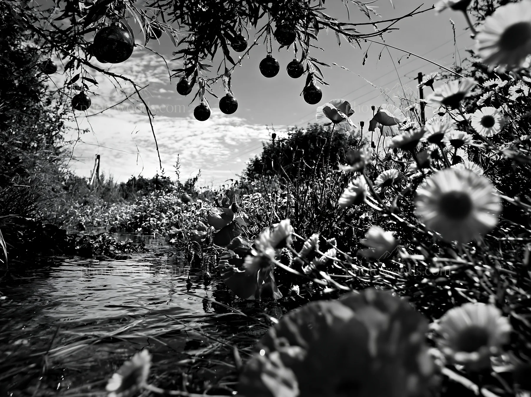Christmas lights along stream in meadow - AI-generated stock image