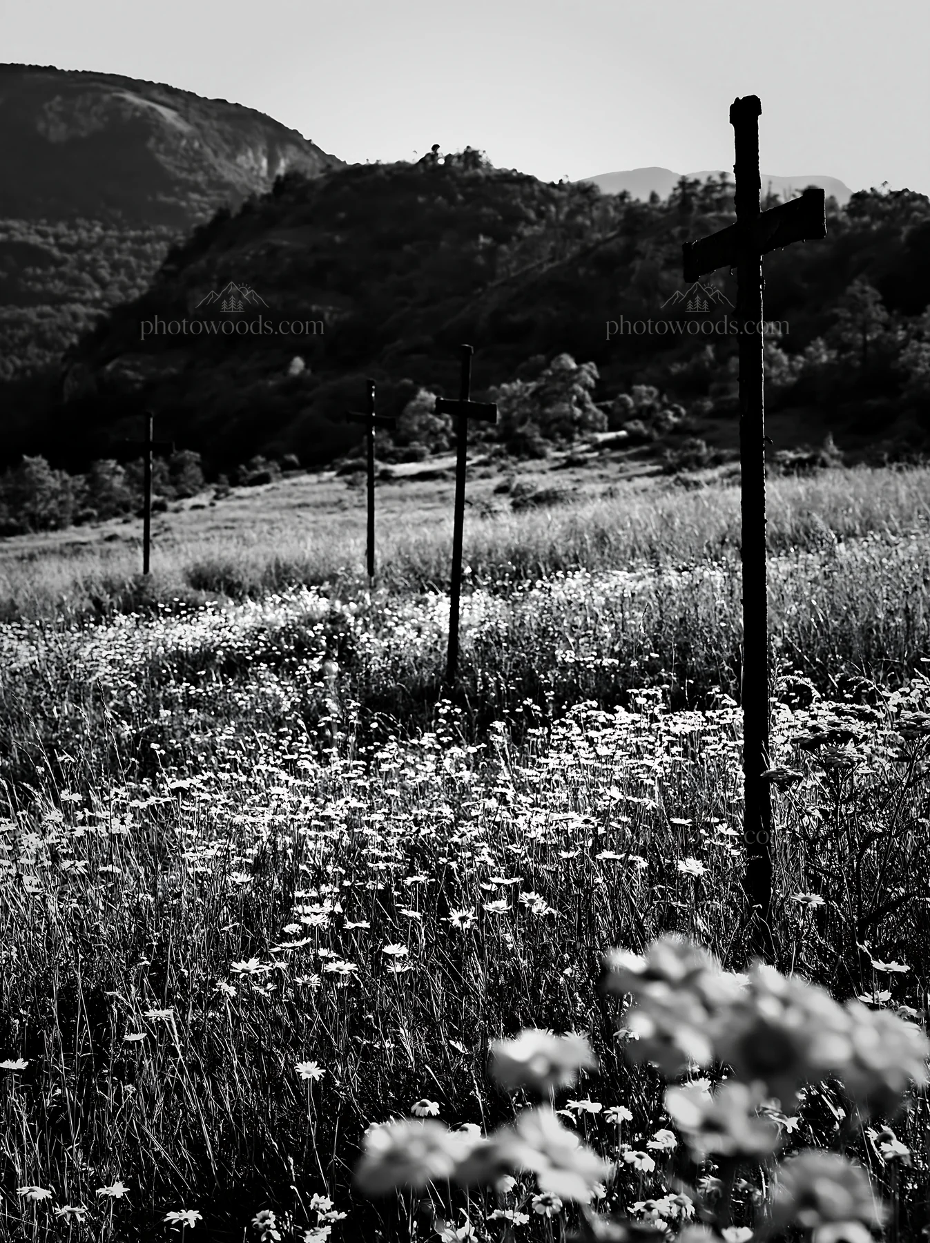 Three iron crosses in an Advent meadow - AI-generated stock image