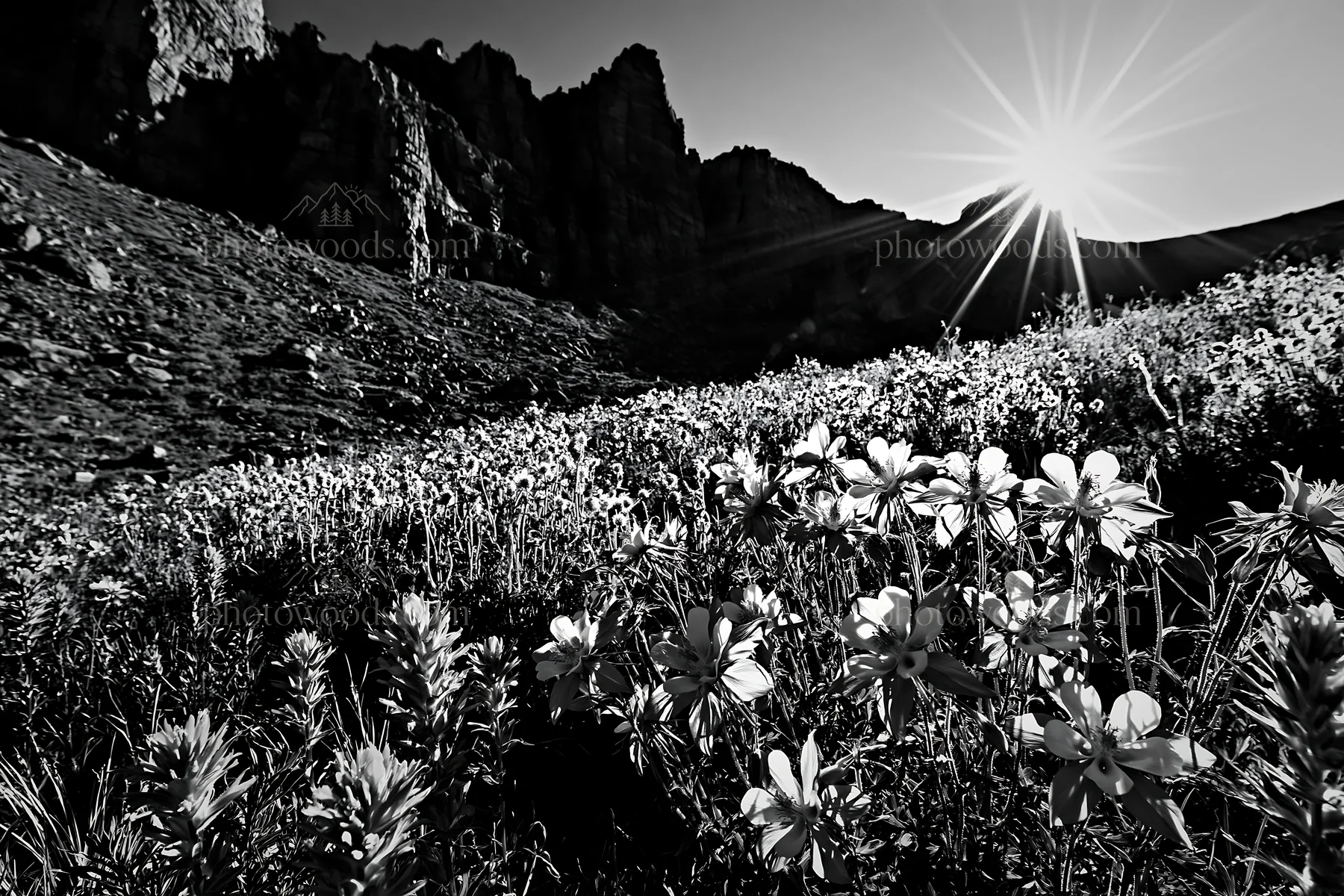 Meadow with flowers beneath crags at sunrise - AI-generated stock image