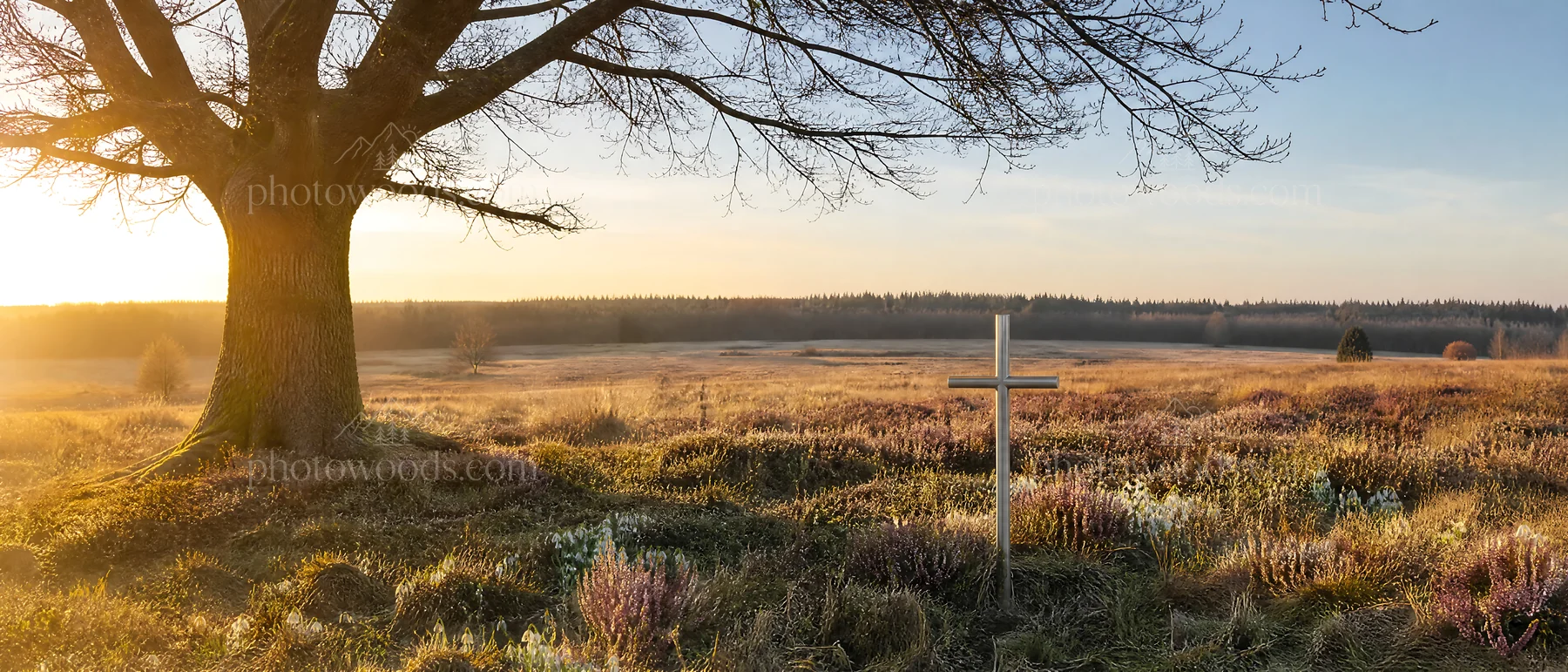 Christian cross in winter meadow with low sunlight - AI-generated stock image