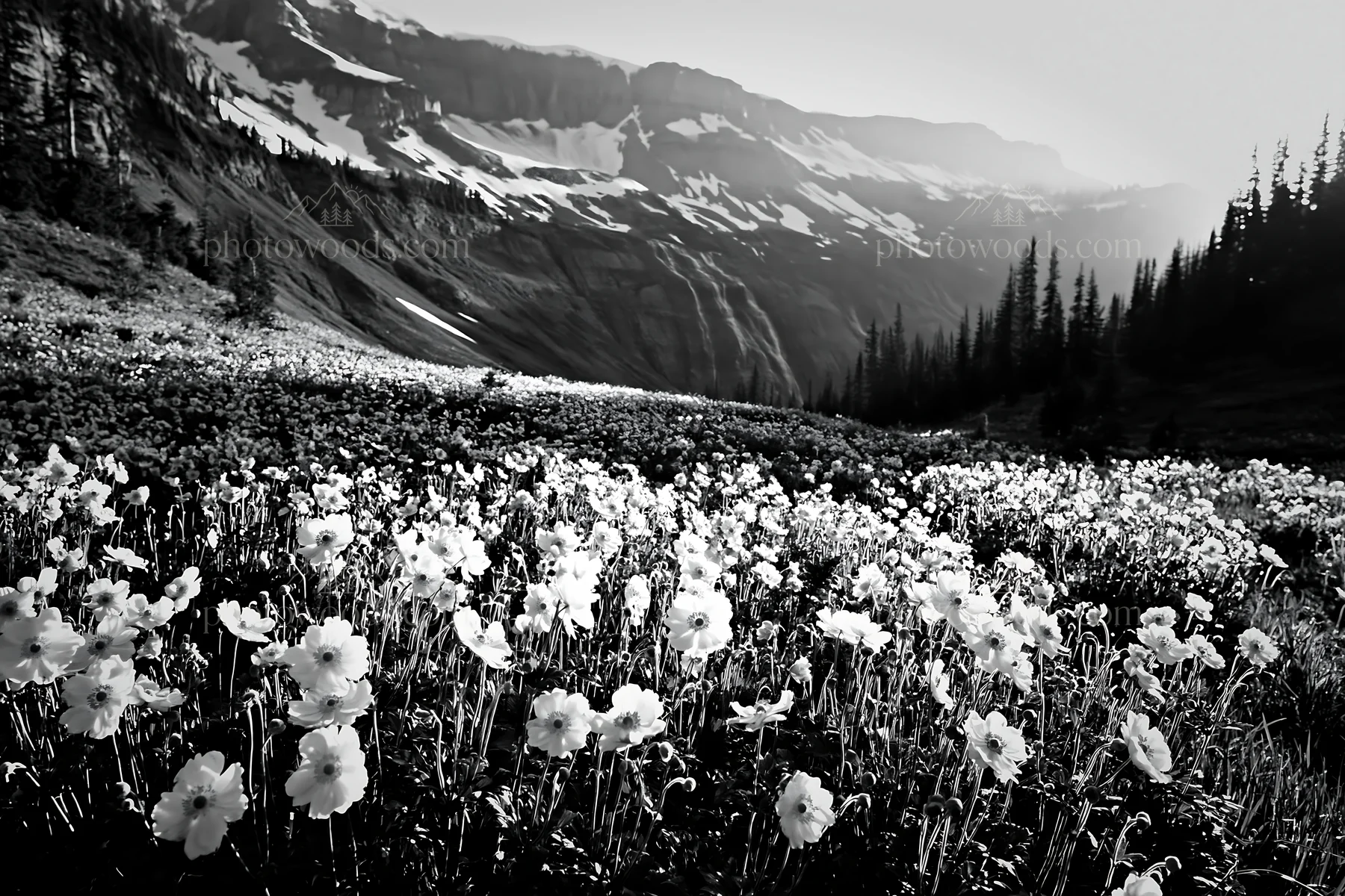 Flower meadow with distant cascade and mountains - AI-generated stock image