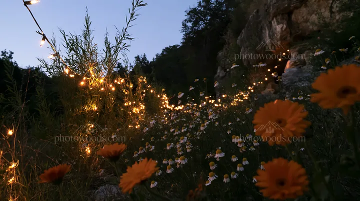 Christmas lights glowing in meadow near cave at dusk - AI-generated stock image