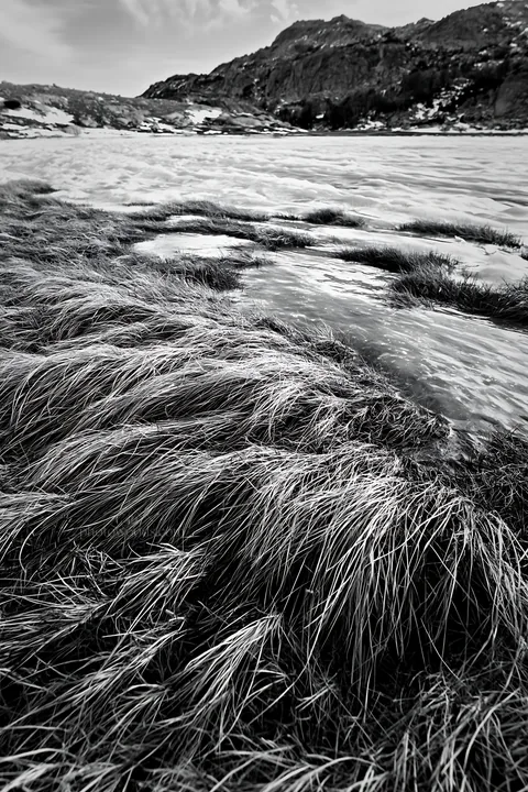 Black and white frozen tarn meadow surrounded by grass and snow - AI-generated stock image