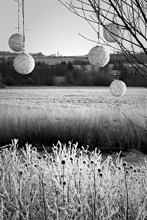 Frosted meadow with lanterns and frosted seedheads - AI-generated stock image
