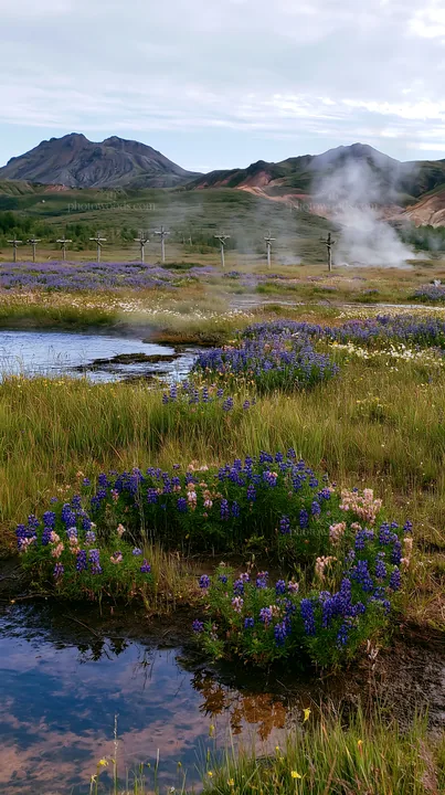Christian crosses in geothermal spring meadow with flowers - AI-generated stock image