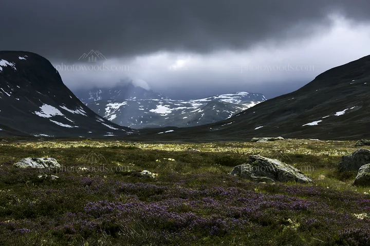 Sunbeams shining over Jotunheimen valley meadow - AI-generated stock image