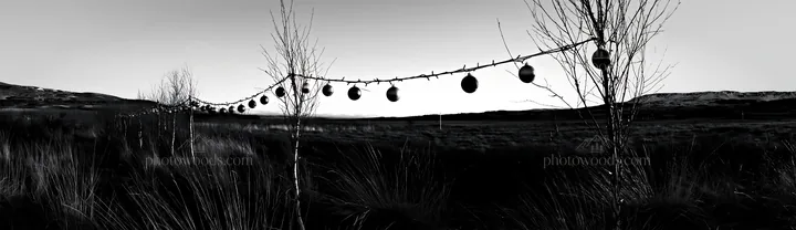 Open winter meadow with baubles hanging on a line - AI-generated stock image