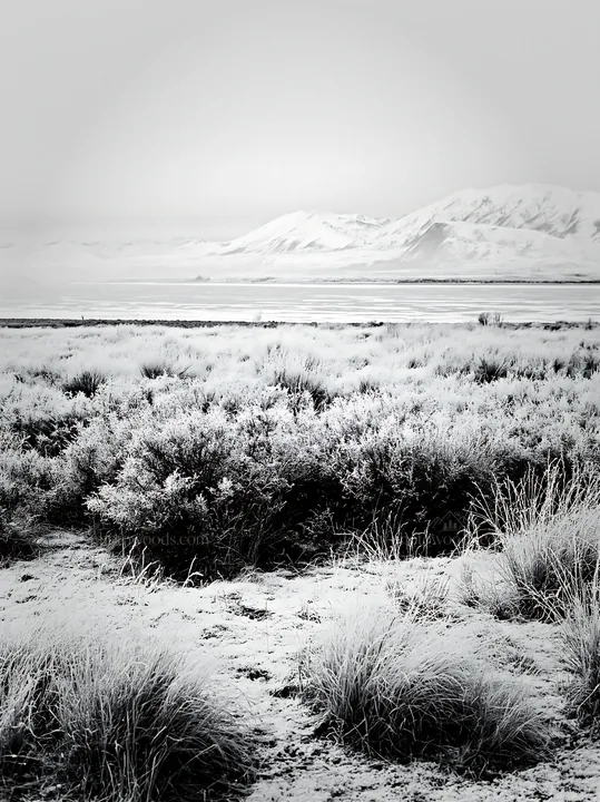 Black and white lake Tekapo meadow snowy alps offer a winter landscape view - AI-generated stock image