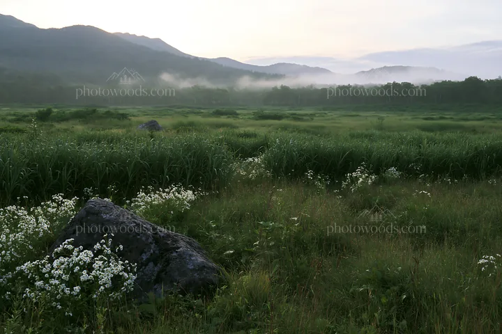 Aomori climate resilient meadow with boulder - AI-generated stock image