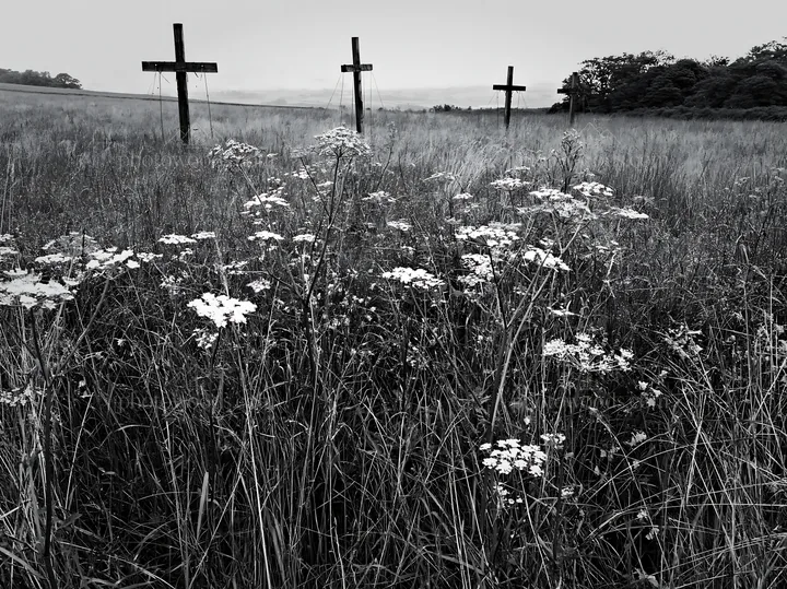 Christian crosses in rain soaked meadow with flowers - AI-generated stock image