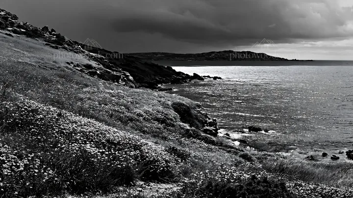 Italian meadow along rocky coast under cloudy sky - AI-generated stock image