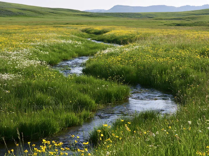 Winding stream through a meadow with wildflowers - AI-generated stock image