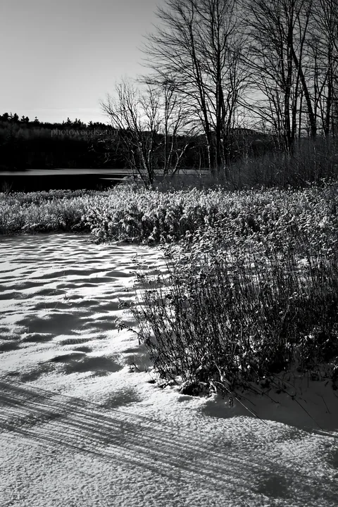 Lakeside meadow after first snowfall in black and white - AI-generated stock image