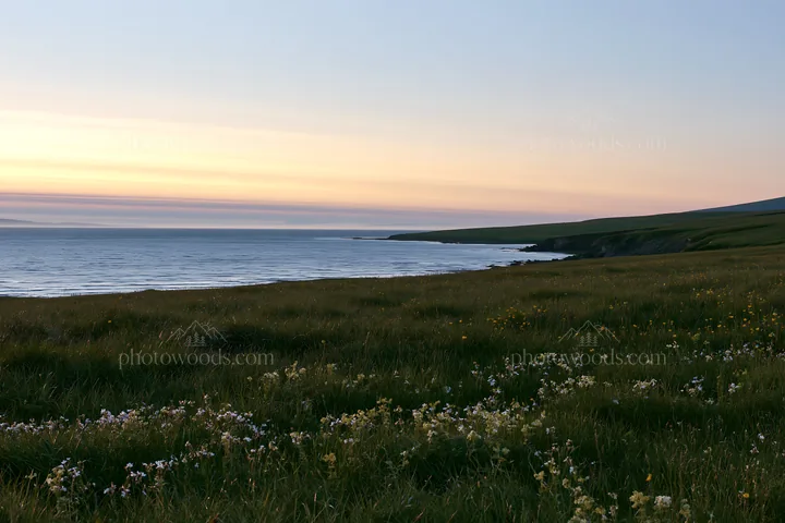 Meadow along the coast at sunset with water and grass - AI-generated stock image