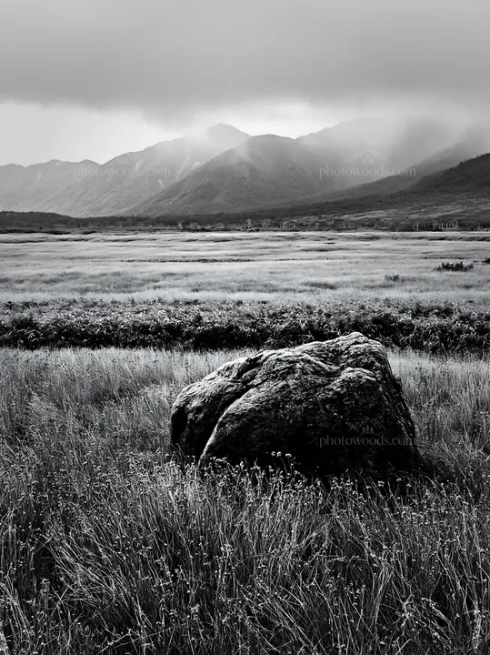 Black and white aomori climate resilient meadow with boulder in green landscape - AI-generated stock image