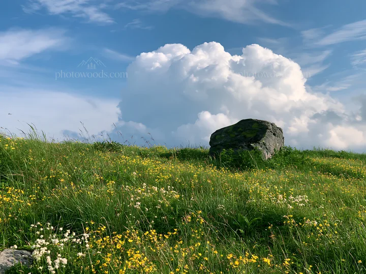 Aomori climate resilient meadow with boulder under blue sky - AI-generated stock image