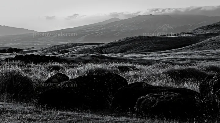 Black and white restored Kumamoto silver grass meadow boulders at sunset - AI-generated stock image