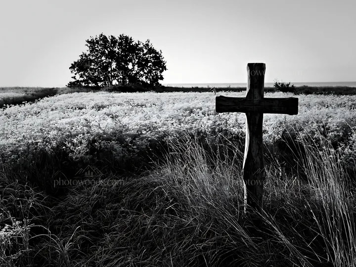 Carved oak cross in frosted meadow with tree in background - AI-generated stock image
