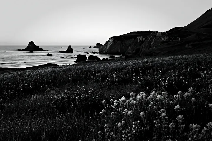 Beachside flower meadow at sunset near rocky coast - AI-generated stock image