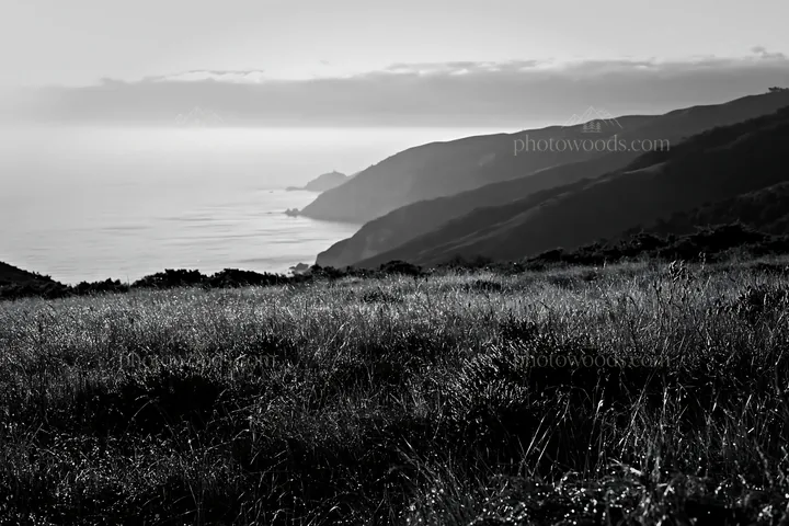 Portuguese meadow with Atlantic coast view in black and white - AI-generated stock image
