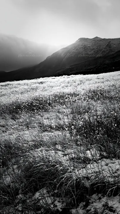 Light rays over Daisetsuzan alpine meadow in black and white - AI-generated stock image