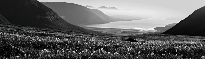Meadow under crags with mountain view and water in the distance - AI-generated stock image