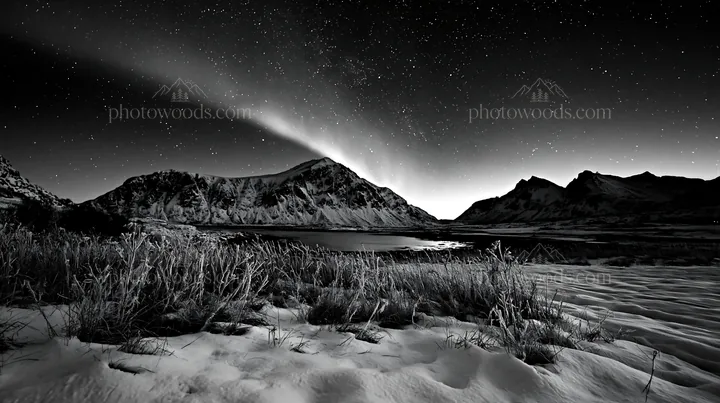 Lofoten coastal meadow covered in winter snow - AI-generated stock image