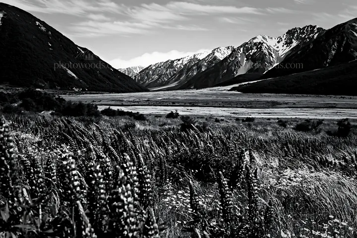 Rolling valley meadow under clear sky - AI-generated stock image