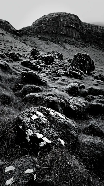 Mossy boulders across a grassy meadow in black and white - AI-generated stock image