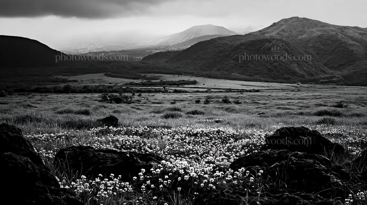 Black and white kumamoto volcanic meadow dark rock foreground with green landscape - AI-generated stock image
