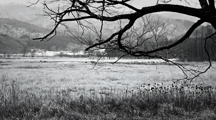 Black and white yamagata rewilded meadow with fallen branch in the foreground - AI-generated stock image