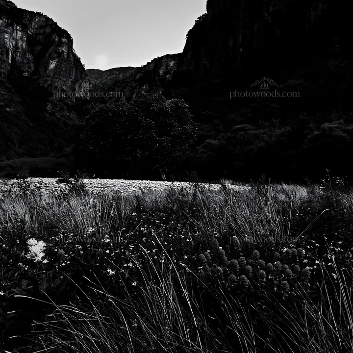 Moonlit meadow with wildflowers and mountains in the background - AI-generated stock image