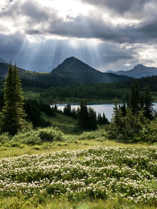 Sunshine Meadows Banff light rays illuminate nature scene - AI-generated stock image