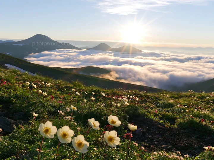 Daisetsuzan alpine meadow light rays shine over the landscape - AI-generated stock image