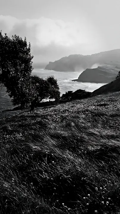 Clover apple meadow near the coast with cliffs and sea - AI-generated stock image