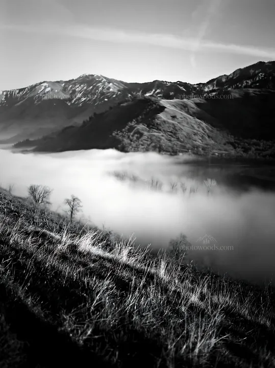 Black and white highland apple meadow with rolling fog and mountain backdrop - AI-generated stock image