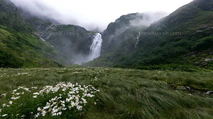Misty mountain waterfall in misty meadow with wildflowers - AI-generated stock image