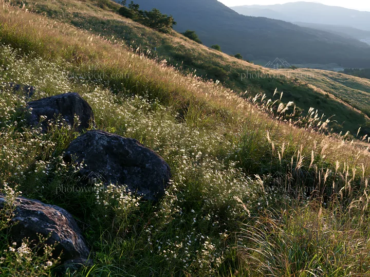 Oita highland meadow with granite stones in natural setting - AI-generated stock image