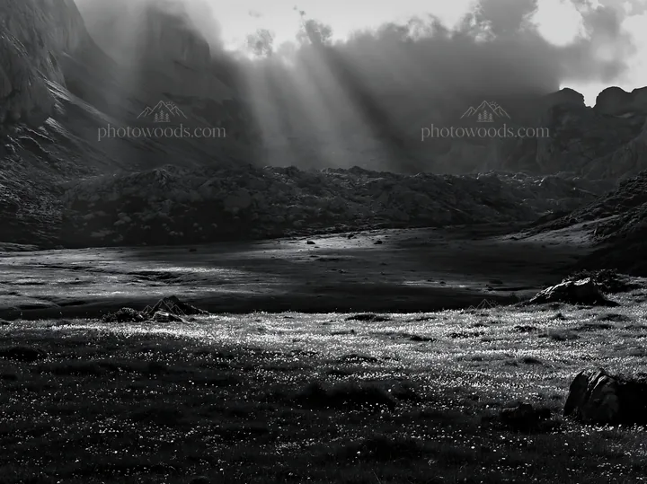 Sunrays illuminate meadow in Picos de Europa mountains - AI-generated stock image