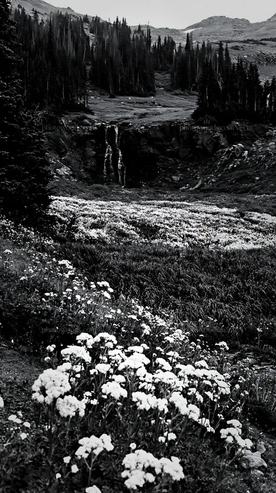 Waterfall in alpine meadow with flowers and trees - AI-generated stock image